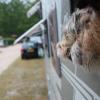 frankreich2009 076